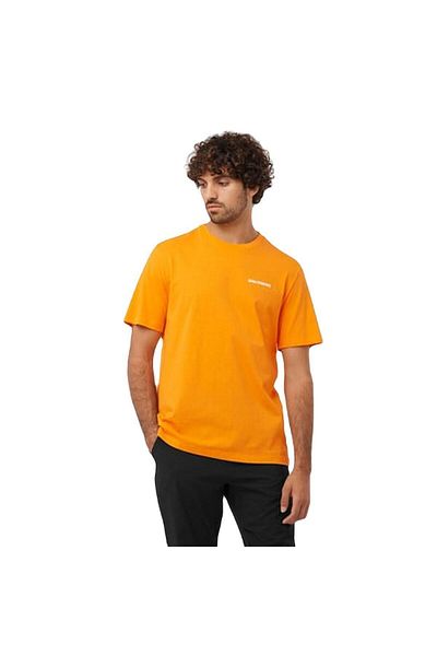 Salomon Lc 2219700   Graphic Perf Ss Tee m Men's t Shirt