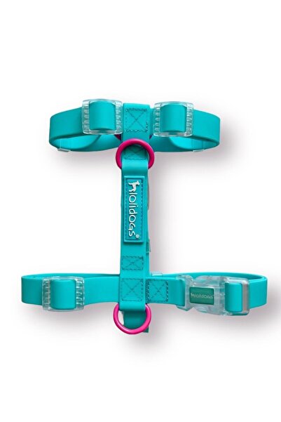 Lolidogs Jelly Collection Köpek Göğüs Tasması Berry
