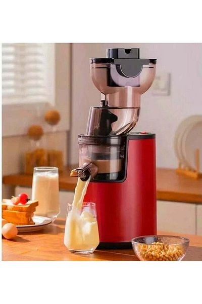 Denx DX3203 Juicer, 1000W, 500ml, for preparing fresh juices