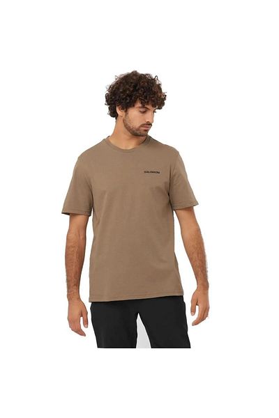 Salomon LC2219 - Ανδρικό T-shirt: Graphic Perf SS Tee, Καφέ