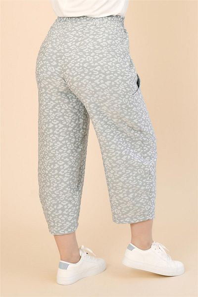 Zedd+ Plus 25149 Pants Gray