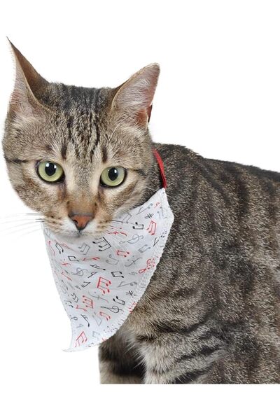 X-Perk Cat Scarf with Collar Patterned Adjustable Scarf