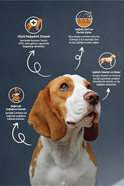 Reflex Kuzulu ve Pirinçli Yetişkin Köpek Maması, 15 Kg