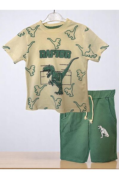 patriko tekstil Boy's Dinosaur Printed Shorts T-Shirt Bottom Top Set