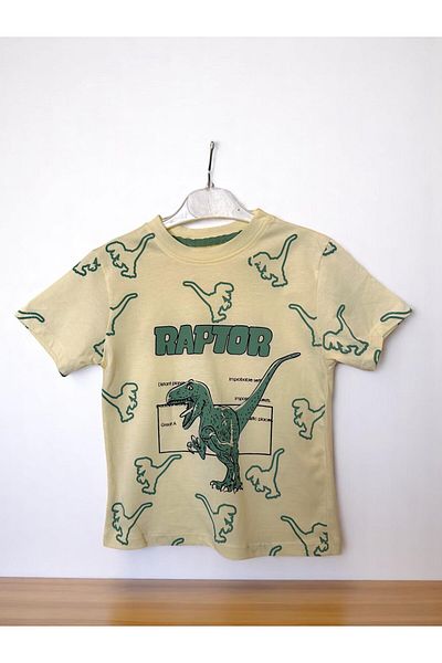 patriko tekstil Boy's Dinosaur Printed Shorts T-Shirt Bottom Top Set