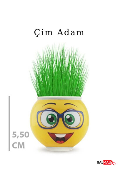 SalMall Komik Emoji Çim Adam | Dekoratif Saksı | Eğlenceli Hediye ve Masaüstü...
