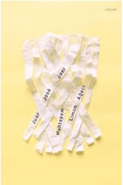 Jaguar Kitap Muhteşem Limon Ağacı