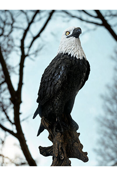 İki Cadı Tasarım Dev Kartal Dekoratif Obje, Heykel, Kartal Büstü, Ev Ve Bahçe Dekoru