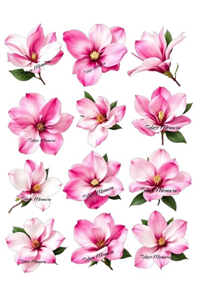 telaşe memuru Edible Flower Cake Topper - Magnolia Edible Paper Cake Topper -...