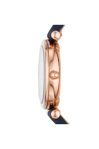 Fossil Fes4502 Fossil Women's Wristwatch