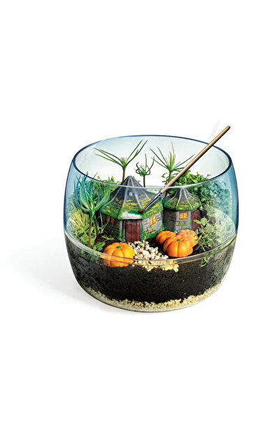 CLEMENTONI Terrarium - Harry Potter Hagrid's Hut 81141
