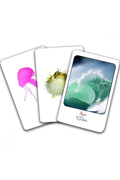 Gama Clasificare. Pământ, aer, apă - Montessori