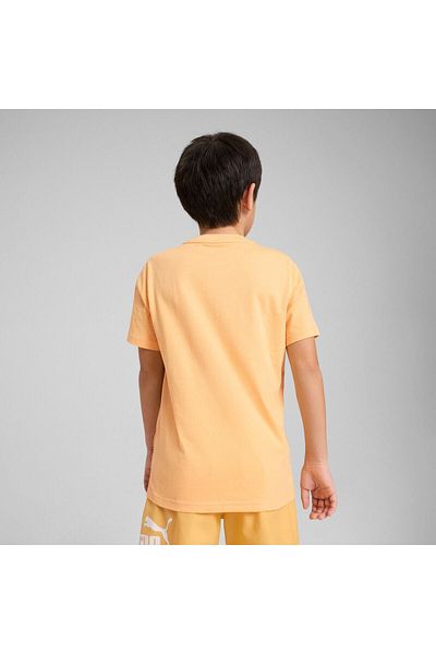 Puma T-shirt Puma Ess Logo Lab Summer Tee B, Orange, Kids