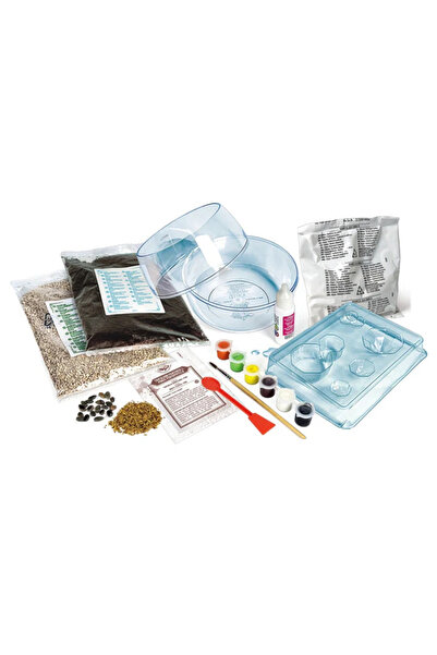 CLEMENTONI Terrarium - Harry Potter Hagrid's Hut 81141