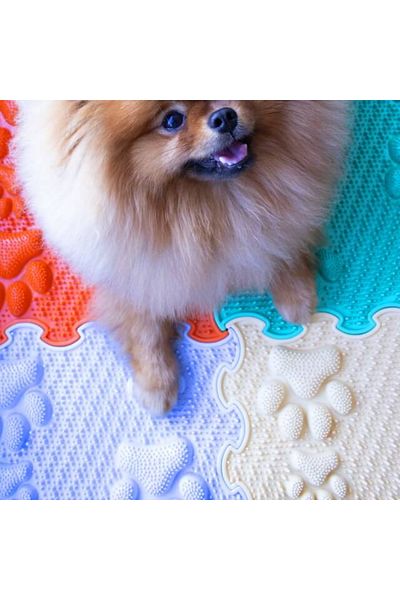 ORTOTO Orthopedic, Sensory Mat, Puzzle Set, 8 Pieces, Lucky Paws Model, Rigid Texture, Multicolor