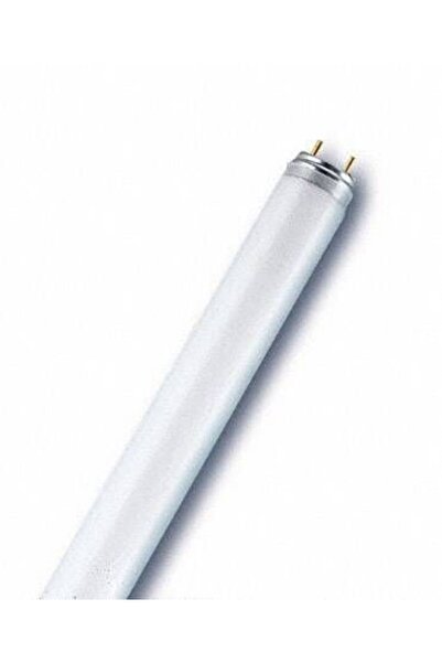 netx Şavk T8 Floresan Lamba Mavi 36W 120 cm