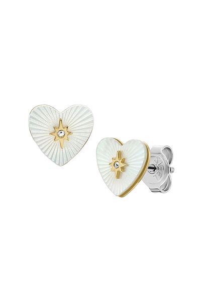 Fossil Jf04732-710 Women's Earrings