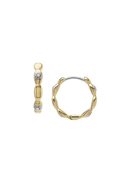 Fossil Jf04795-710 Women's Earrings
