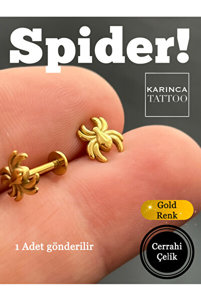 Karınca Piercing Örümcek Tragus Piercing Spider Cerrahi Çelik Helix Flat Conch Nostril Standard Lobe Kulak Küpe