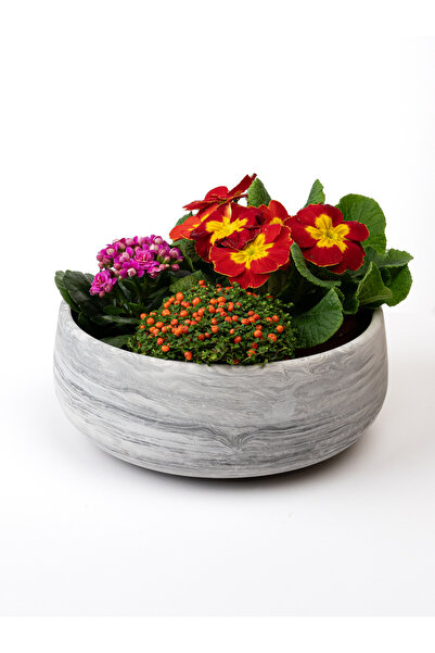 Kaju Creative Dekoratif Beton Kase Saksı Mermer Desenli 21,5 x 9,5 3L /14X6.5...