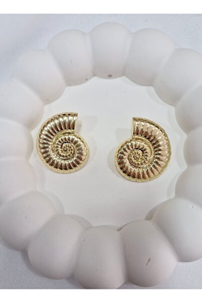 Home Women's Seashell Earrings