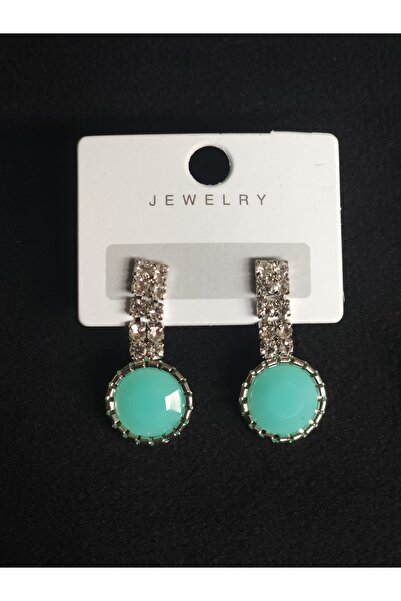 Avcıoğlu Aksesuar أقراط نسائية 2 صفوف مستديرة متدلية كريستال الزركون حجر فضة ...