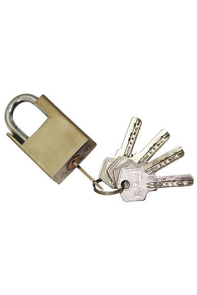 flores Fingerprint padlock, 63 mm