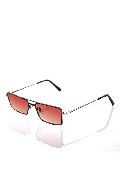 AR COLLECTİON Plus Unisex Metal Sunglasses Ar295 C15