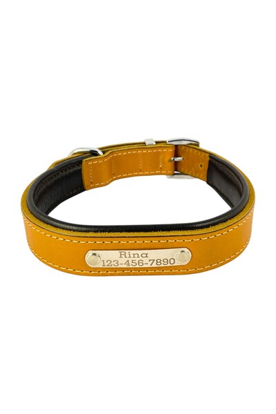 Canini Collar Kişiselleştirilmiş Hakiki Klasik Deri Köpek Tasması, Dayanıklı-Yumuşak Deri Alt Kısım