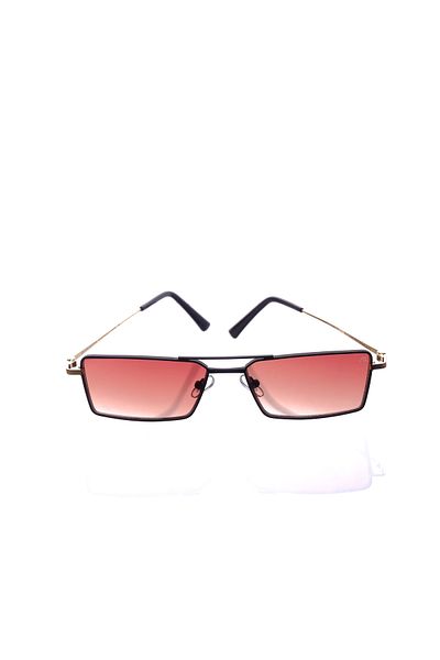 AR COLLECTİON Plus Unisex Metal Sunglasses Ar295 C15