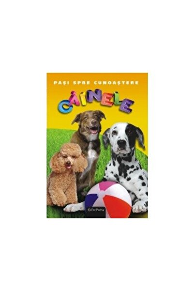 Mediadocs Cainiele - Βήματα προς τη Γνώση