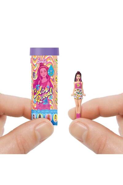 Barbie Mini BarbieLand Color Reveal Bebek Sürpriz Paket JCR08