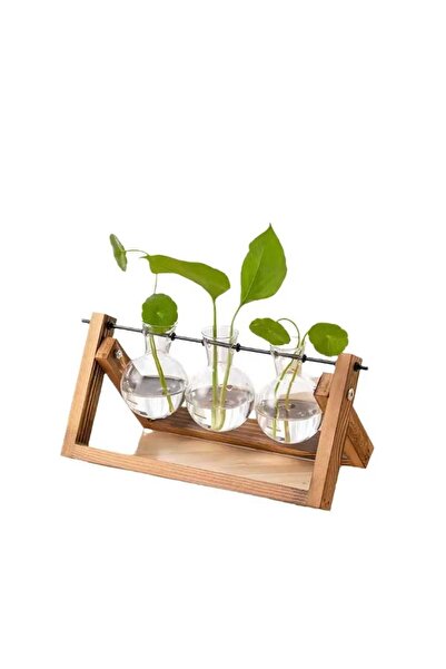ALPJOY Hidroponik Bitki Vazosu Vintage Ahşap Stand