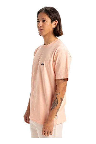 Quiksilver Eqyzt07711 Basic Ss Tee Young Men Salmon Crew Neck Regular Fit Men's T-Shirt
