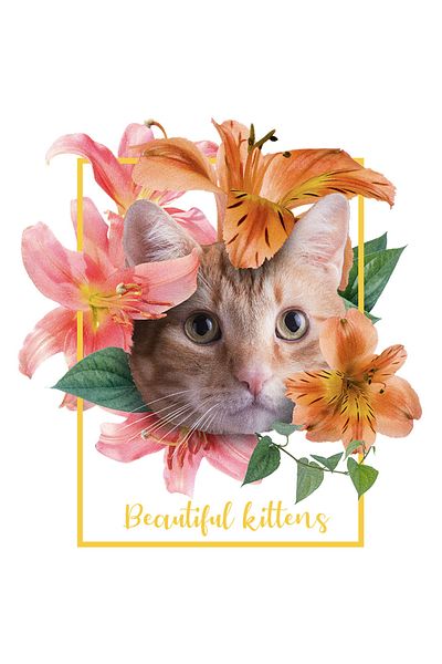 StoryGift Romania Sticker Cu Pisica Acoperita De Flori Colorate, Animal De Companie Blanos, Pisici Si Motani