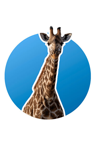 StoryGift Romania Sticker Eticheta 40CM cu Portret Girafa, Girafa Frumoasa si...