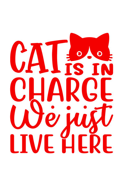 StoryGift Romania Sticker Eticheta 50CM Exterior pentru cei care ii ofera int...