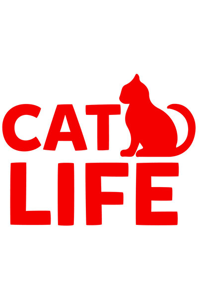 StoryGift Romania Sticker Eticheta 40CM Exterior cu o pisica si textul in eng...