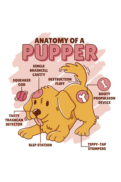 StoryGift Romania Sticker Eticheta 50CM Cu Mesaj Haios In Engleza Anatomy Of ...