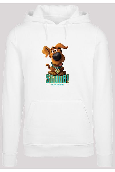F4NT4STIC Herren Scooby Doo Puppy Scooby With Heavy Hoody