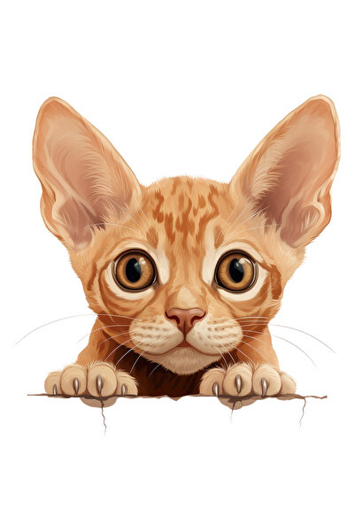 StoryGift Romania Sticker Eticheta 40CM cu o pisicuta speriata, ilustratie, socata, privire surprinsa, pentru iu