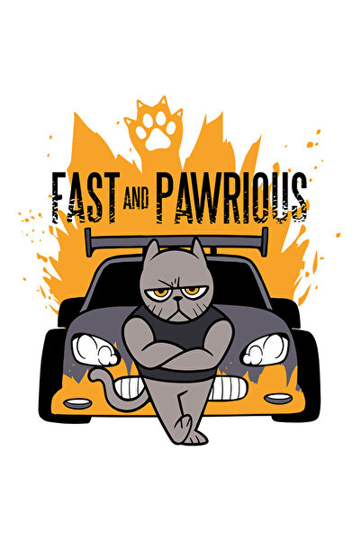 StoryGift Romania Sticker Autocolant 70CM Cu Mesaj Haios Fast And Paurious, P...