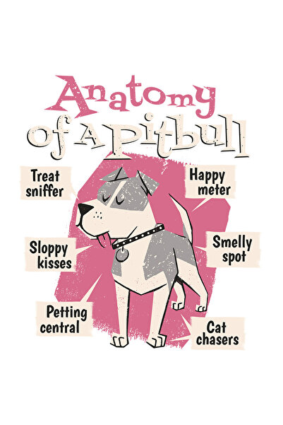 StoryGift Romania Sticker Adeziv 90CM Cu Mesaj Amuzant In Engleza Anatomy Of ...