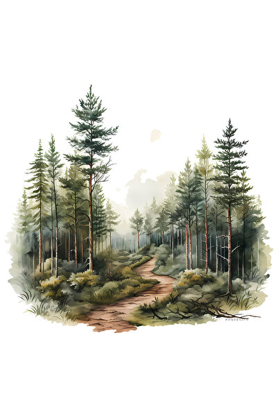 StoryGift Romania Sticker Cu Un Peisaj Forestier, Ilustratie, Natura, Padure,...