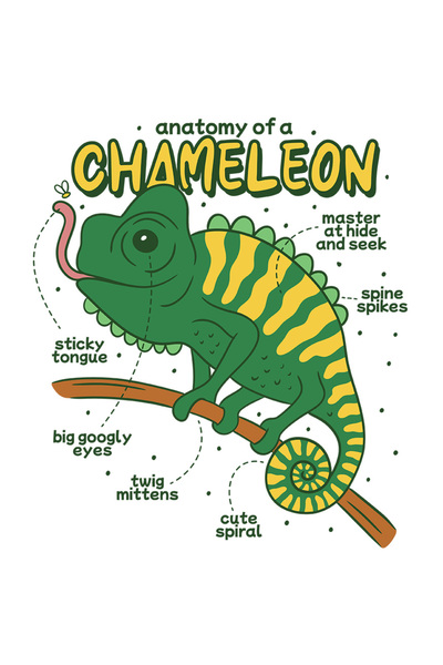 StoryGift Romania Sticker Adeziv 90CM Cu Mesaj Amuzant In Engleza Anatomy Of A Chameleon, Soparla, Musca, Creang