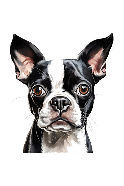 StoryGift Romania Sticker Eticheta 50CM cu un catel serios, ilustratie, negru...