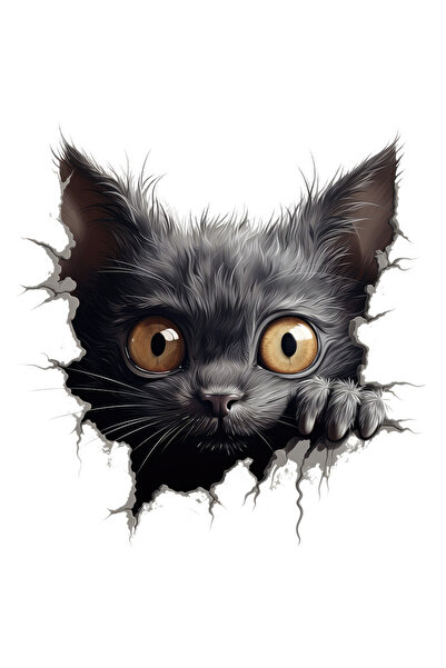 StoryGift Romania Sticker Autocolant 70CM cu o pisicuta neagra, stelute, surprinsa, socata, pentru iubitorii de