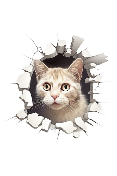 StoryGift Romania Sticker Autocolant 70CM Pisica Iesind din , Sparta, Design 3D, cu Margini Albe, PVC Vinyl 70 cm