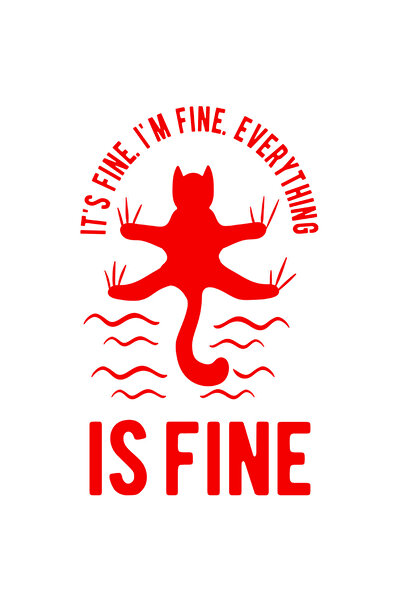 StoryGift Romania Sticker Autocolant 70CM Exterior cu o pisica pentru cei car...