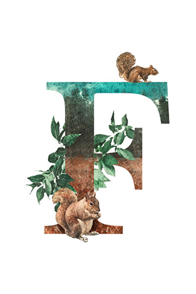 StoryGift Romania Sticker Autocolant 70CM Cu Litera, E, Veverite, Frunze, cu Margini Albe, PVC Vinyl 70 cm